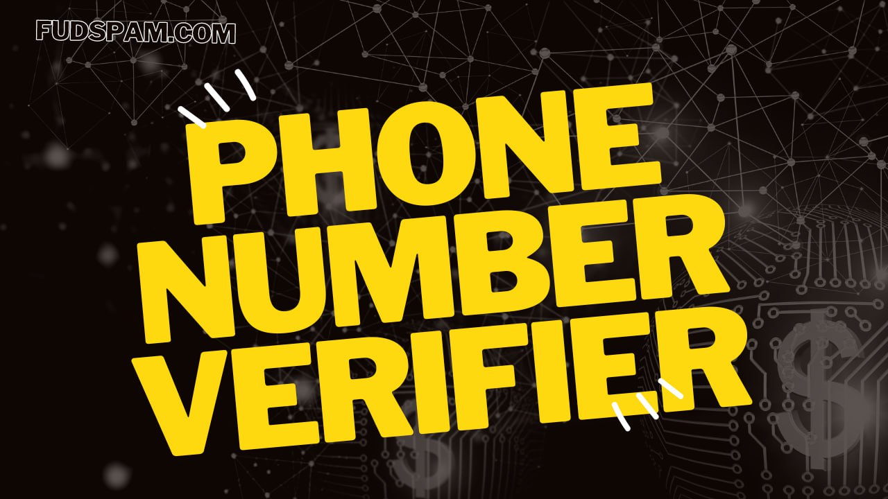 Phone Number Verifier